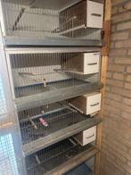 1 stapel broedkooien met broedhokken en 2 grote kooien, Dieren en Toebehoren, Ophalen of Verzenden, Zo goed als nieuw, Broedkooi of Kweekkooi