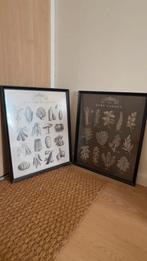 Ikea lijst, Huis en Inrichting, Woonaccessoires | Lijsten, Ophalen of Verzenden, Hout, Minder dan 50 cm