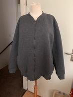 Heren vest maat xxl voor 5 euro, Kleding | Heren, Grote Maten, Ophalen of Verzenden, Zo goed als nieuw, Blauw, Trui of Vest