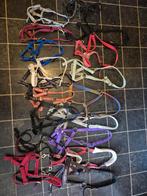 Halters in maten veulen, pony, cob en full, Dieren en Toebehoren, Paarden en Pony's | Overige Paardenspullen, Ophalen of Verzenden