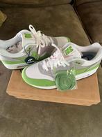 Nike air max 1 Patta Chlorophyll 44,5, Ophalen of Verzenden, Nieuw