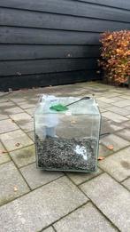 Leuk aquarium doer het nog goed!, Dieren en Toebehoren, Vissen | Aquaria en Toebehoren, Ophalen, Gebruikt, Sierelement
