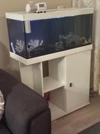 Aquarium met kast. En accessoires, Ophalen of Verzenden, Zo goed als nieuw, Leeg aquarium