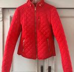 Rood jasje Zara maat xs/s, Kleding | Dames, Maat 34 (XS) of kleiner, Ophalen of Verzenden, Zo goed als nieuw, Rood