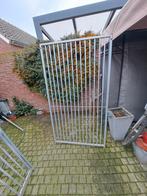 Honde ren, Dieren en Toebehoren, Ophalen, 110 cm of meer, 100 cm of meer