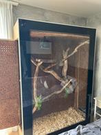 Terrarium   H207 B142 D57, Ophalen of Verzenden, Zo goed als nieuw