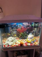 Aquarium met toebehoren, Dieren en Toebehoren, Ophalen, Gebruikt, Overige typen