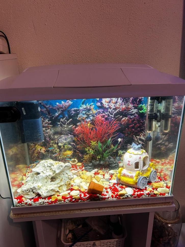 Aquarium met toebehoren, Dieren en Toebehoren, Vissen | Aquaria en Toebehoren, Gebruikt, Overige typen, Ophalen