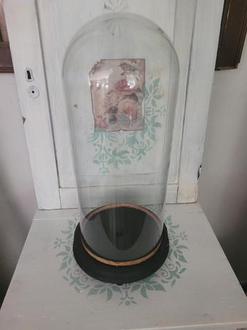 Antieke dun glazen stolp met origineel onderbord beschikbaar voor biedingen