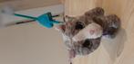 FurReal elektronische kat die geluid maakt, Ophalen of Verzenden, Gebruikt, Poes