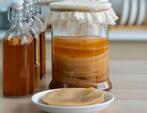 Biologische scoby met startervloeistof, Diversen, Ophalen