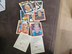 Panini voetbal 2000, Verzamelen, Sportartikelen en Voetbal, Ophalen of Verzenden, Zo goed als nieuw, Ajax, Poster, Plaatje of Sticker