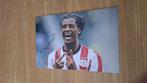 Foto 20x30cm met handtekening; Georginio Wijnaldum # PSV, Verzenden, Nieuw, PSV