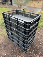 Krat zwart - 60x40x12cm - 6 stuks, 40 tot 60 cm, 50 tot 75 cm, Minder dan 35 cm, Ophalen of Verzenden
