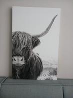 Canvas Schotse Hooglander 90x70 cm, Zo goed als nieuw, Ophalen