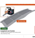 Zoofari loopplank voor hond ongebruikt max 40 kg, Ophalen