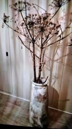 Landelijk pot met berenklouw takken, Huis en Inrichting, Woonaccessoires | Droogbloemen, Ophalen of Verzenden, Zo goed als nieuw