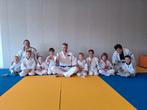 Judo en jiu jitsu in Leiderdorp, Ophalen, Judo