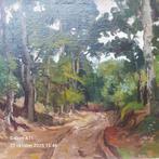 Jan van Vuuren - SCHILDER VAN DE VELUWE, Antiek en Kunst, Ophalen of Verzenden