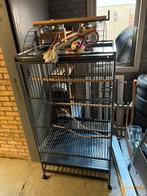 Strong Sofia Papegaaienkooi, Dieren en Toebehoren, Vogels | Hokken en Kooien, Ophalen of Verzenden, Gebruikt, Metaal, Vogelkooi