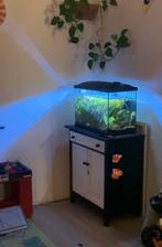 Compleet aquarium -60 liter -met alle accessoires., Dieren en Toebehoren, Ophalen, Zo goed als nieuw, Leeg aquarium