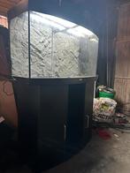 Aquarium  goed lezen!, Dieren en Toebehoren, Ophalen, Leeg aquarium