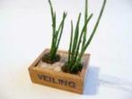 houten veiling kist met planten / poppenhuisminiatuur, Ophalen, Nieuw, Decoratie