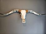 Longhorn skull, Huis en Inrichting, Ophalen