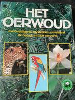 Het oerwoud, Ophalen of Verzenden, Nieuw