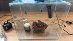 Aquarium, Ophalen, Gebruikt, Leeg aquarium