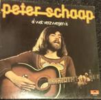 Peter Schaap - Al Wat Verzwegen Is, Cd's en Dvd's, Vinyl | Nederlandstalig, Pop, Gebruikt, 12 inch, Verzenden