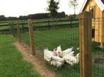 7. Schapen hek | Afrastering gaas | kippen afrastering, Ophalen of Verzenden, Nieuw, 20 meter of meer, Gaas