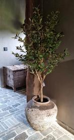 Kunstboom olijf in pot 1,55m, Nieuw, Ophalen