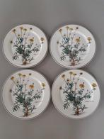 Dinerborden 24 cm Villeroy en Boch Botanica,  12 beschikbaar, Ophalen of Verzenden, Zo goed als nieuw, Bord(en), Overige stijlen