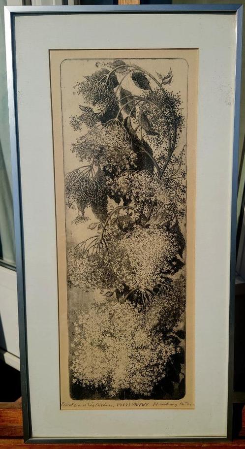 Bloemstilleven 1967, 8/15 ets, signeerd Hertoog de W?, Antiek en Kunst, Kunst | Etsen en Gravures, Ophalen of Verzenden
