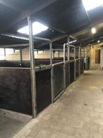 Paardenstalling, Dieren en Toebehoren, Weidegang