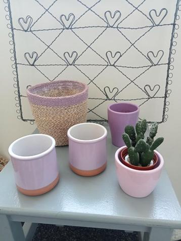 Diverse bloempotjes en mandje  beschikbaar voor biedingen