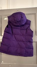 Tommy Hilfiger Bodywarmer Dames - Maat L, Kleding | Dames, Bodywarmers, Ophalen of Verzenden, Gedragen, Maat 42/44 (L), Paars