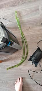Groot aquarium met diverse toebehoren, Ophalen, Gebruikt, Leeg aquarium