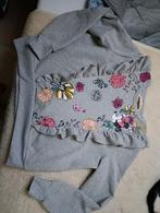 Disneyland dames sweater maat L - goede staat, Disneyland Parijs, Maat 42/44 (L), Ophalen of Verzenden, Zo goed als nieuw