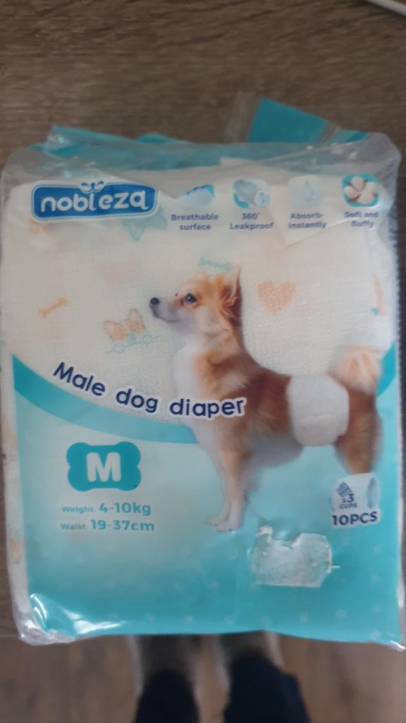 Wegwerp plasband/hondenluier voor kleine reutjes, Dieren en Toebehoren, Honden-accessoires, Nieuw, Ophalen of Verzenden