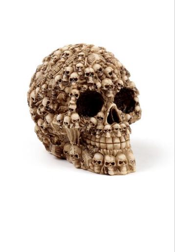 Meerdere Schedels op Hoofd van skull, hobby, mancave, man beschikbaar voor biedingen