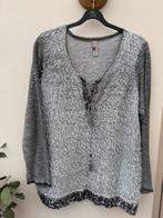 Feestelijke trui pailetten Tredy 46 grijs, Ophalen of Verzenden, Zo goed als nieuw, Maat 46/48 (XL) of groter, Grijs