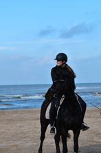 Gave New Forest D pony merrie, Dieren en Toebehoren, Pony's, Merrie, Gechipt, Dressuurpony, 3 tot 6 jaar