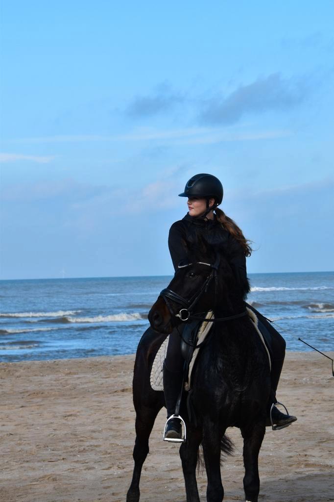 Gave New Forest D pony merrie, Dieren en Toebehoren, Pony's, Merrie, L, D pony (1.37m tot 1.48m), Dressuurpony, 3 tot 6 jaar, Met stamboom