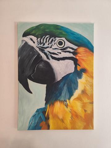 Papegaai Schilderij - Handgeschilderd beschikbaar voor biedingen