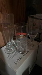 8 dozen glazen veltins gulpener neubourgh, Ophalen, Nieuw, Overige merken