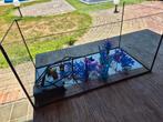 Aquarium te koop, Ophalen of Verzenden, Gebruikt, Leeg aquarium