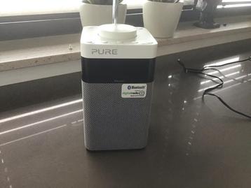 Pure Pop Midi beschikbaar voor biedingen