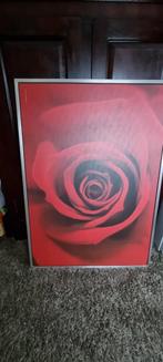 Grafische fotolijst van rode roos, Overige typen, 125 cm of meer, Zo goed als nieuw, Ophalen